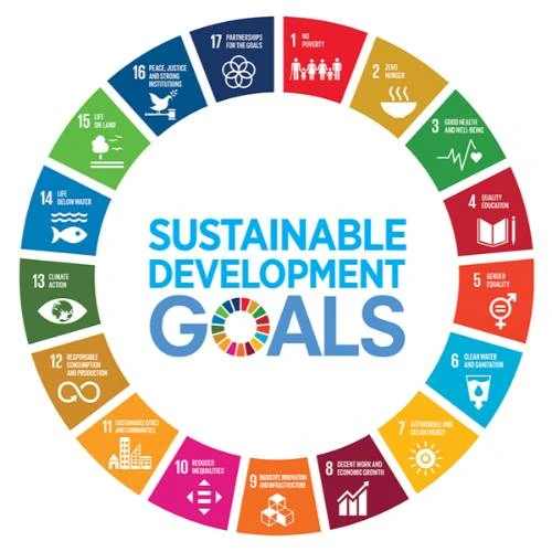 Sustainable Development Goals Banner