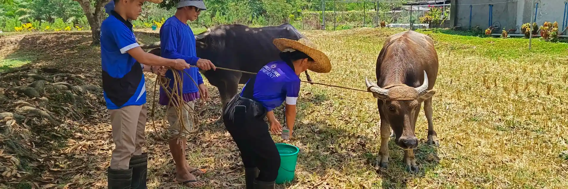 Agriculture Program Ad