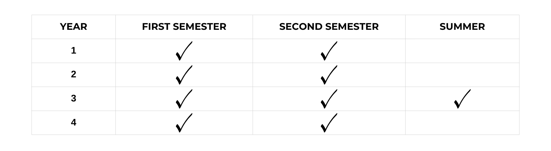 Information Technology Program Schedule