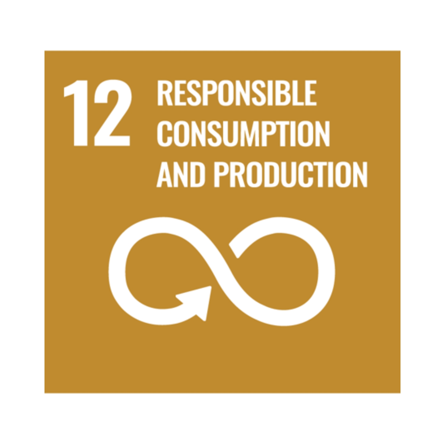 Responsible Consumption and Production